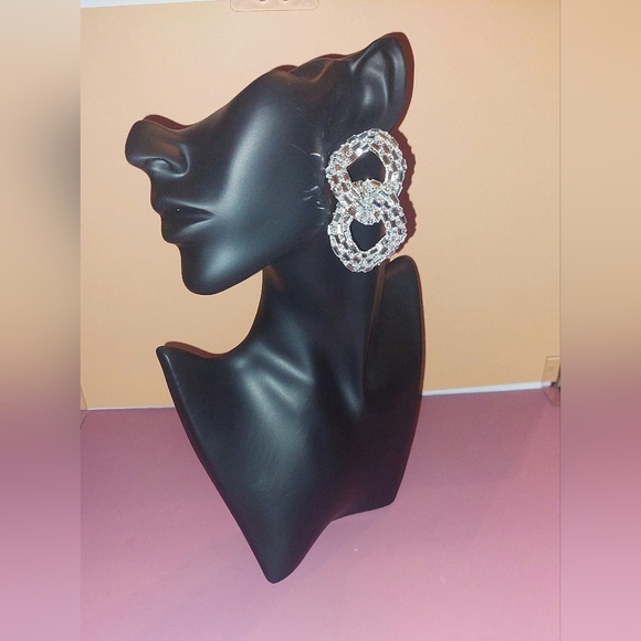 NWT Elegant Silver Loop Fashion Earrings Cooper and Alloy Material - Picture 2 of 2